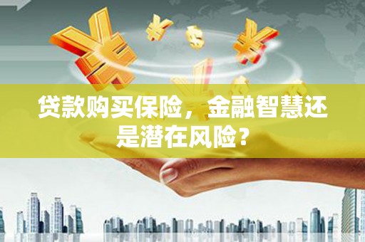 潜江贷款购买保险，金融智慧还是潜在风险？