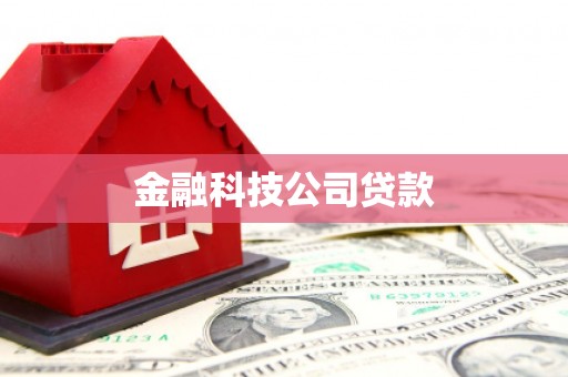 潜江金融科技公司贷款