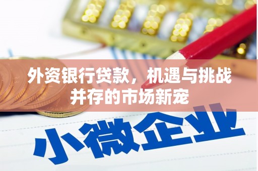 潜江外资银行贷款，机遇与挑战并存的市场新宠