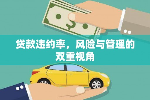 潜江贷款违约率，风险与管理的双重视角