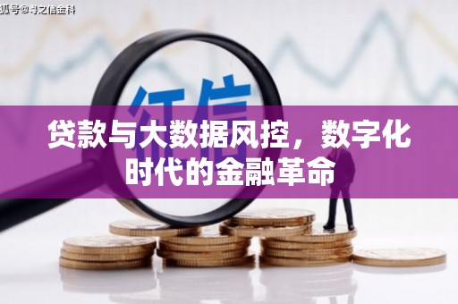 潜江贷款与大数据风控，数字化时代的金融革命