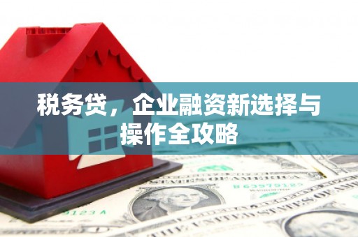 潜江税务贷，企业融资新选择与操作全攻略