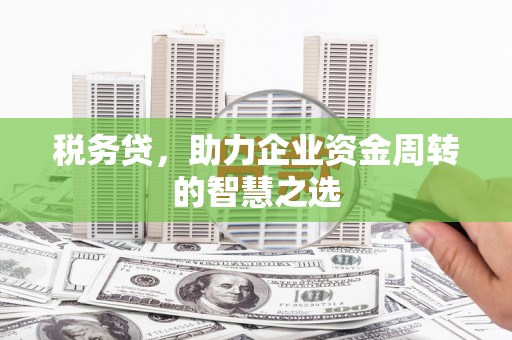 潜江税务贷，助力企业资金周转的智慧之选