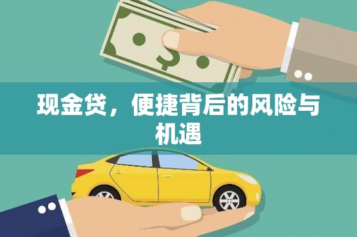 潜江现金贷，便捷背后的风险与机遇