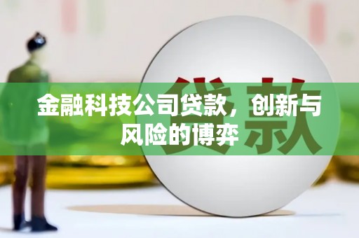 潜江金融科技公司贷款，创新与风险的博弈