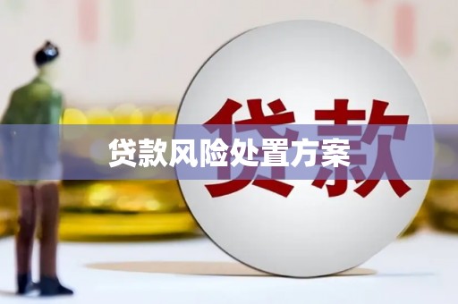 潜江贷款风险处置方案