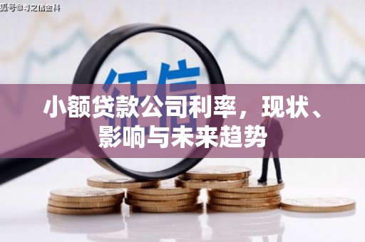 潜江小额贷款公司利率，现状、影响与未来趋势