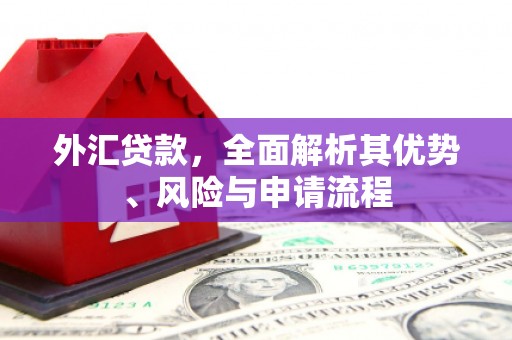 潜江外汇贷款，全面解析其优势、风险与申请流程