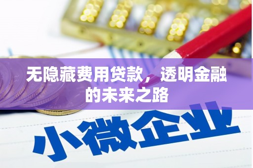 潜江无隐藏费用贷款，透明金融的未来之路