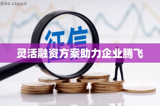 潜江灵活融资方案助力企业腾飞