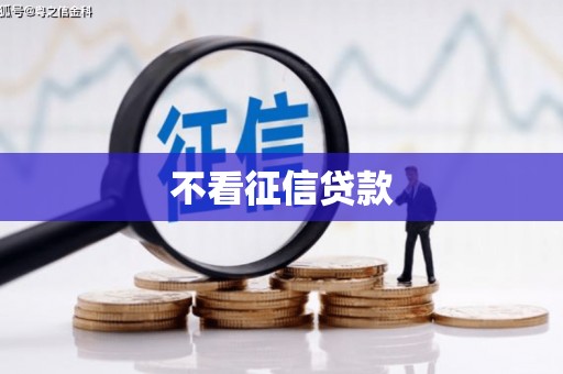 潜江不看征信贷款