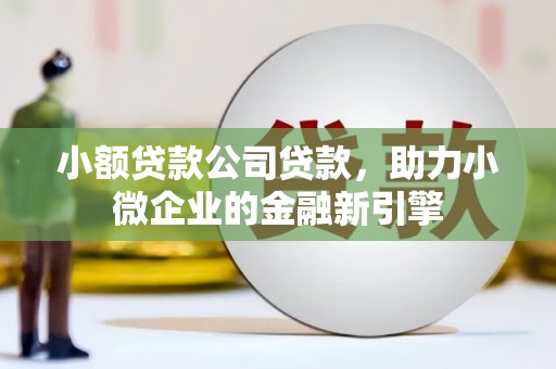潜江小额贷款公司贷款，助力小微企业的金融新引擎