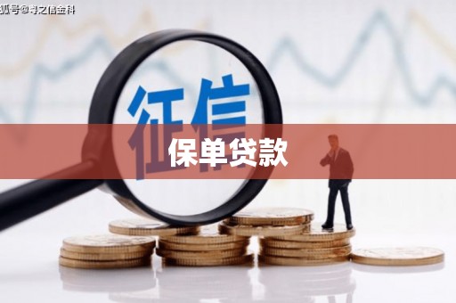 潜江保单贷款