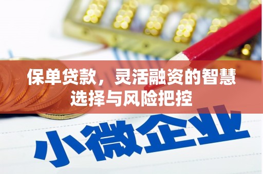 潜江保单贷款，灵活融资的智慧选择与风险把控