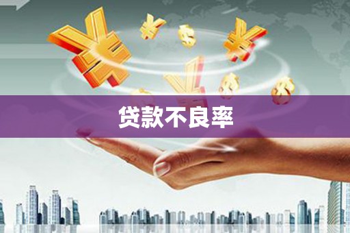 潜江贷款不良率