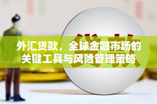 潜江外汇贷款，全球金融市场的关键工具与风险管理策略