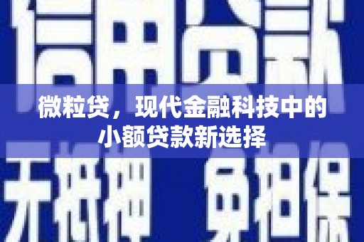 潜江微粒贷，现代金融科技中的小额贷款新选择