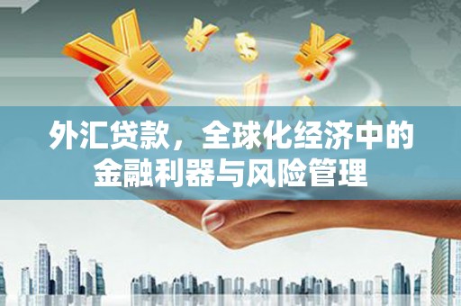 潜江外汇贷款，全球化经济中的金融利器与风险管理