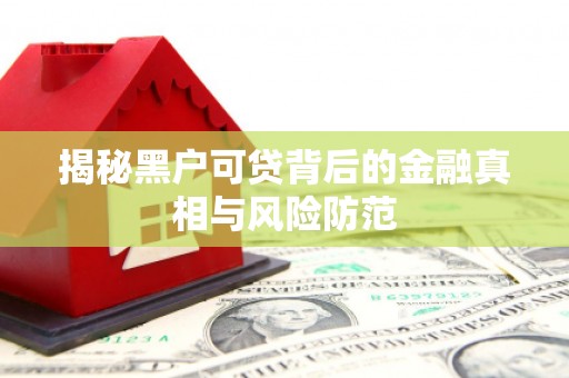 潜江揭秘黑户可贷背后的金融真相与风险防范