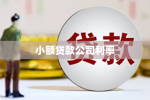 潜江小额贷款公司利率