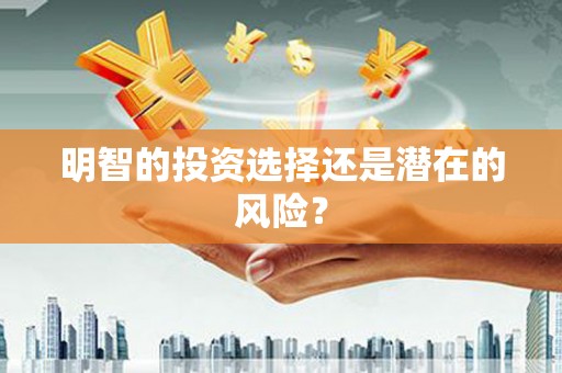 潜江明智的投资选择还是潜在的风险？