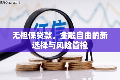 潜江无担保贷款，金融自由的新选择与风险管控