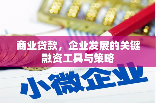 潜江商业贷款，企业发展的关键融资工具与策略