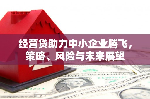 潜江经营贷助力中小企业腾飞，策略、风险与未来展望