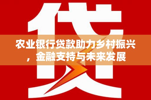 潜江农业银行贷款助力乡村振兴，金融支持与未来发展