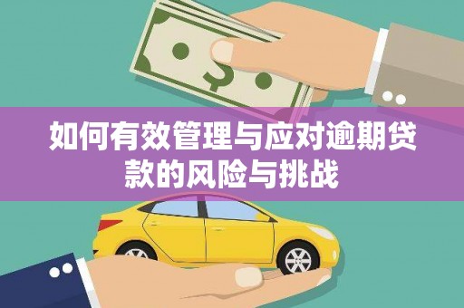 潜江如何有效管理与应对逾期贷款的风险与挑战