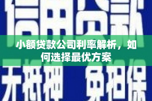 潜江小额贷款公司利率解析，如何选择最优方案