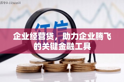 潜江企业经营贷，助力企业腾飞的关键金融工具