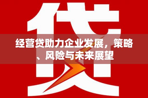 潜江经营贷助力企业发展，策略、风险与未来展望