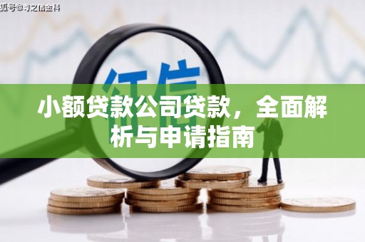 潜江小额贷款公司贷款，全面解析与申请指南