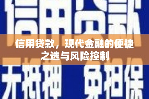潜江信用贷款，现代金融的便捷之选与风险控制