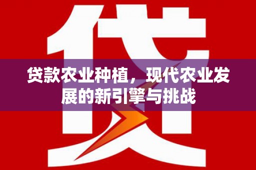 潜江贷款农业种植，现代农业发展的新引擎与挑战