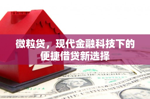 潜江微粒贷，现代金融科技下的便捷借贷新选择
