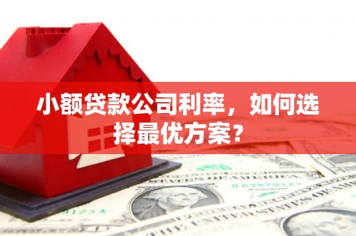 潜江小额贷款公司利率，如何选择最优方案？
