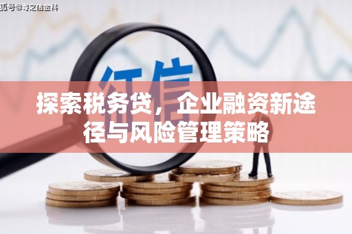 潜江探索税务贷，企业融资新途径与风险管理策略