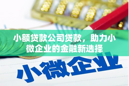 潜江小额贷款公司贷款，助力小微企业的金融新选择