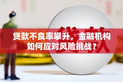 潜江贷款不良率攀升，金融机构如何应对风险挑战？