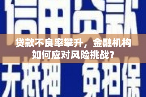 潜江贷款不良率攀升，金融机构如何应对风险挑战？