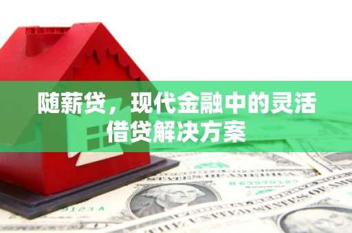 潜江随薪贷，现代金融中的灵活借贷解决方案