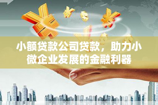 潜江小额贷款公司贷款，助力小微企业发展的金融利器