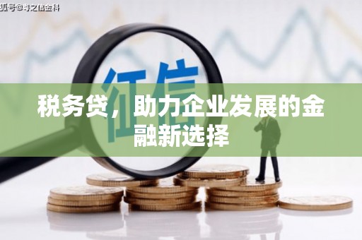 潜江税务贷，助力企业发展的金融新选择