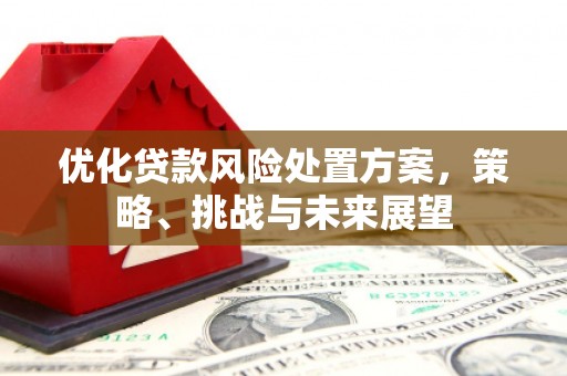 潜江优化贷款风险处置方案，策略、挑战与未来展望