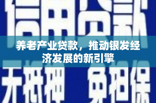 潜江养老产业贷款，推动银发经济发展的新引擎