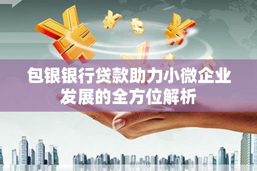 潜江包银银行贷款助力小微企业发展的全方位解析