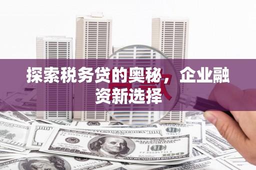 潜江探索税务贷的奥秘，企业融资新选择