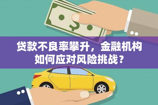潜江贷款不良率攀升，金融机构如何应对风险挑战？